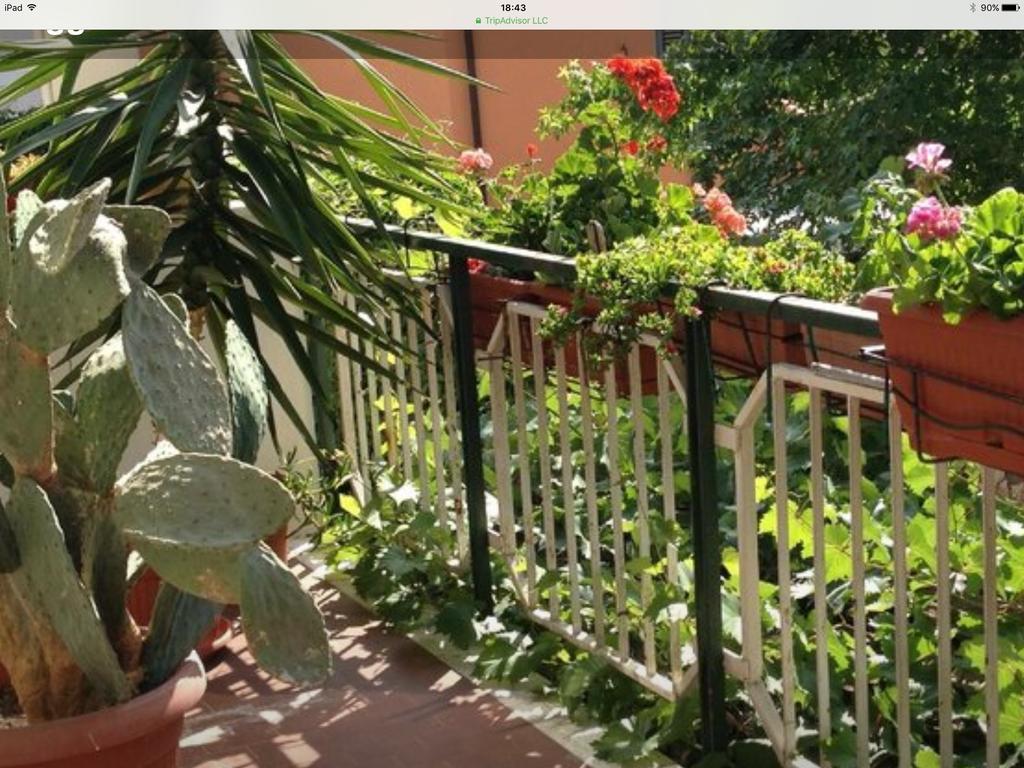 Hotel Mirella Rimini Exteriör bild